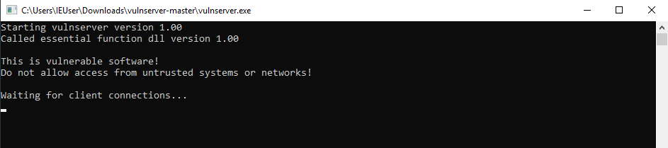 vulnserver